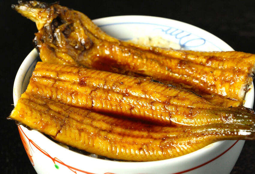 四万十うなぎを食べて夏を乗り切ろう!!