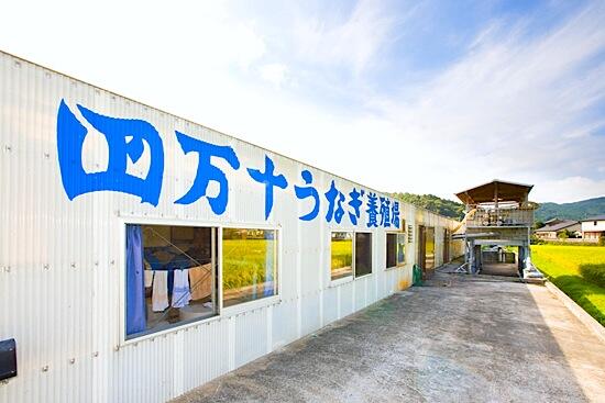 昭和42年創業の「四万十うなぎ」