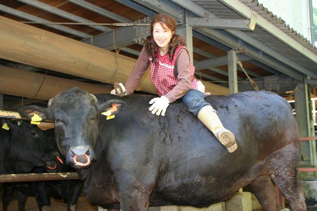 四万十の自然と清らかな水が育んだ幻の極上牛「四万十牛」