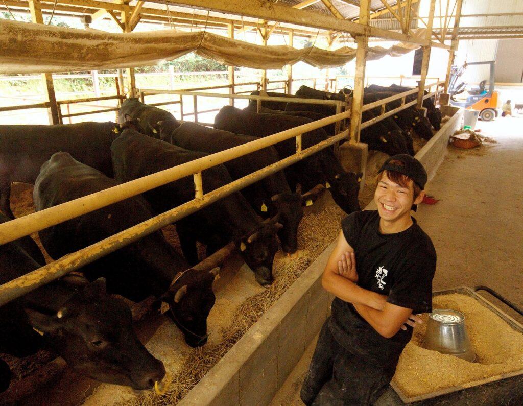 車や人の往来がない静かな山間部の西土佐中央牧場で、のびのび飼育