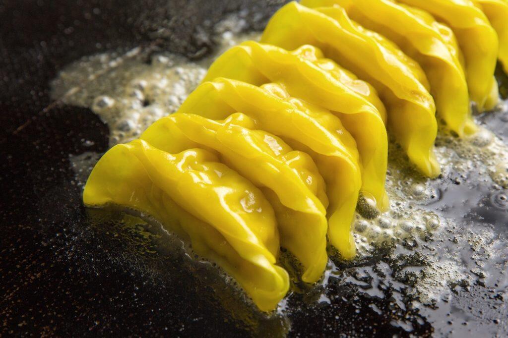 一本釣りカツオ・四万十ポーク・はちきん地鶏のジューシー餃子!