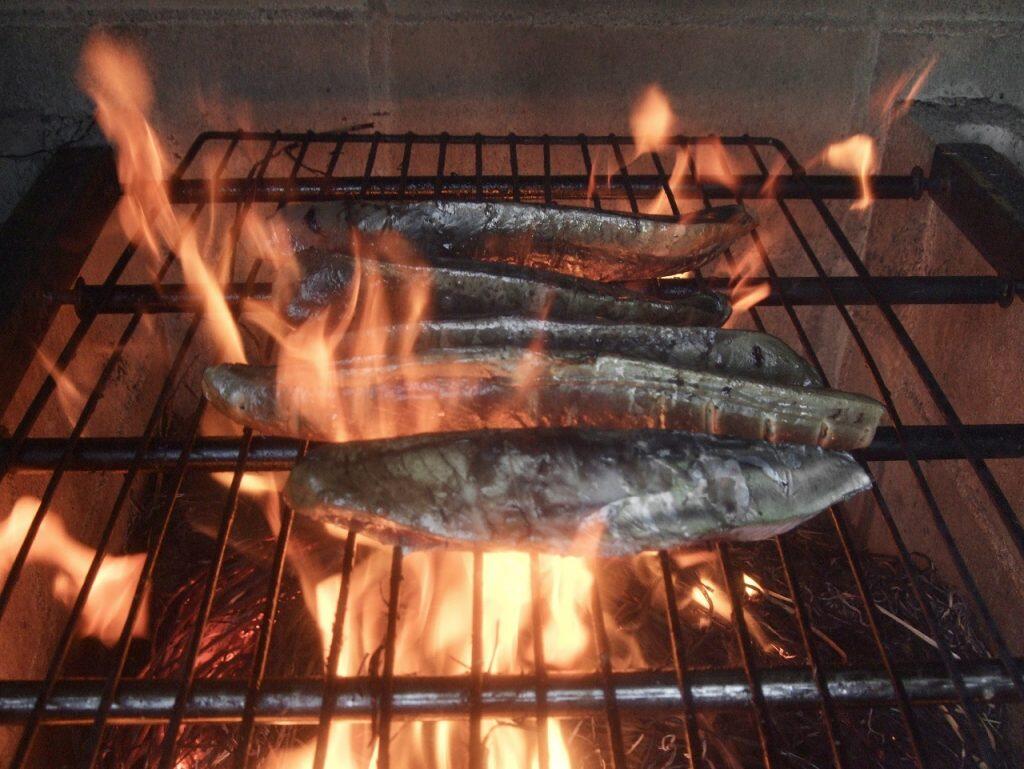 藁焼きトロ鰹たたき」