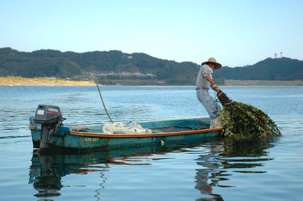 四万十川では、火振り漁や投網(とあみ)などの伝統漁法が現在でも行われており、天然の川の幸を取り扱うお店が数多くあります。