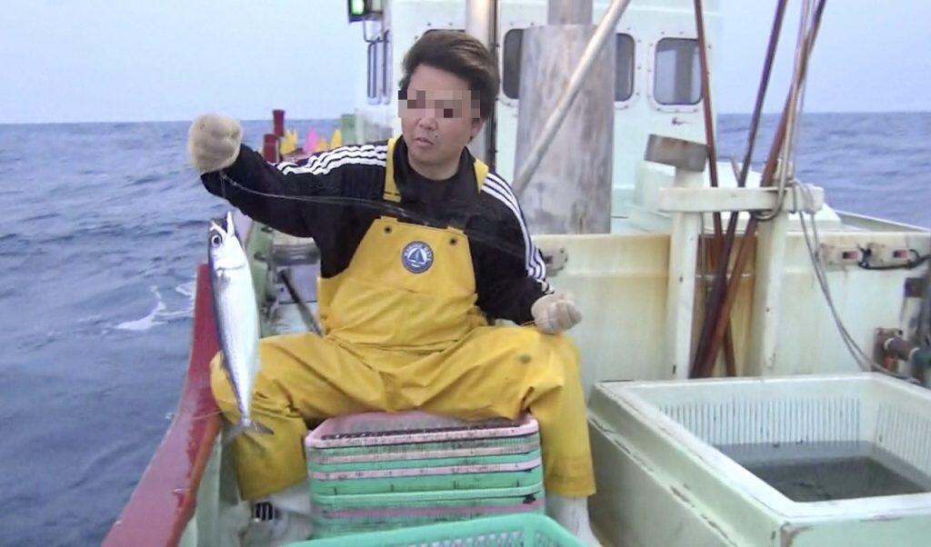 土佐清水市のブランド魚としても注目を集めている「清水さば」