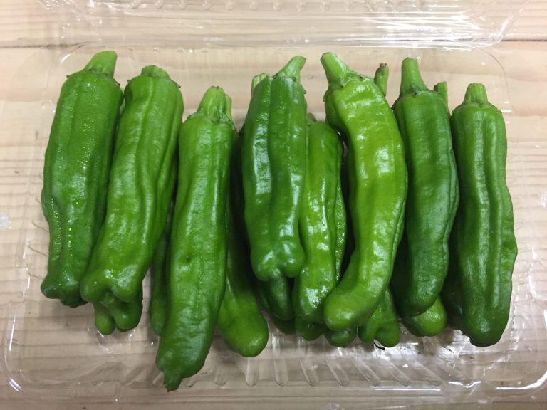 「ししとう」応援メッセージ