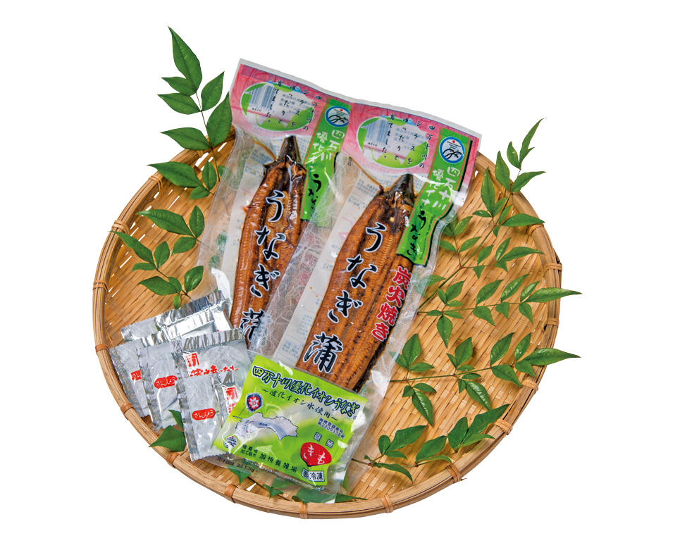 四万十川支流の伏流水で育てる「四万十川優化イオンうなぎ®」