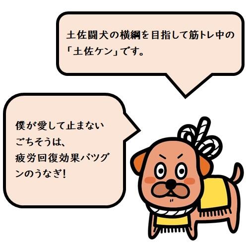 活性炭を用いた養殖池でマイナスイオンをたっぷりあびて育ったうなぎを「四万十川優化イオンうなぎ®」