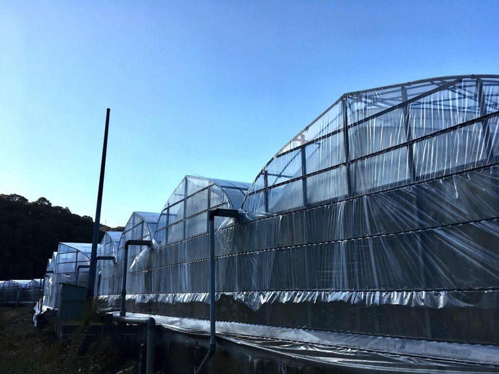 「加持養鰻場」では四万十川の河口で漁獲されたうなぎの稚魚(シラスうなぎ)のみを、地元の人も飲料水としている四万十川支流の伏流水(地下水)を使用して育てています。