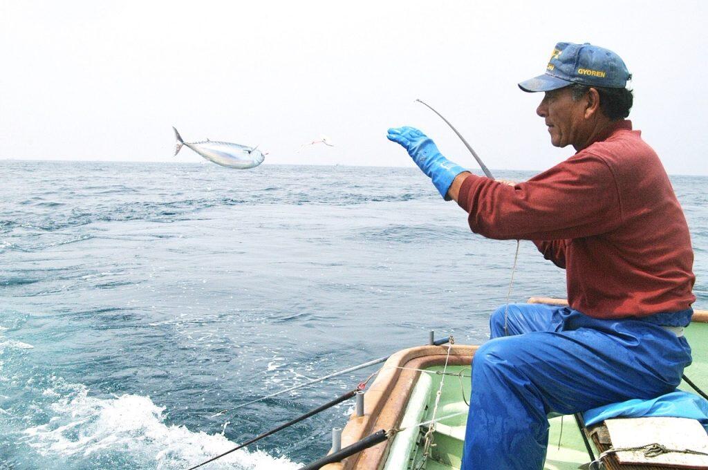県内でもソウダガツオ漁が特に盛んなまち・土佐清水市