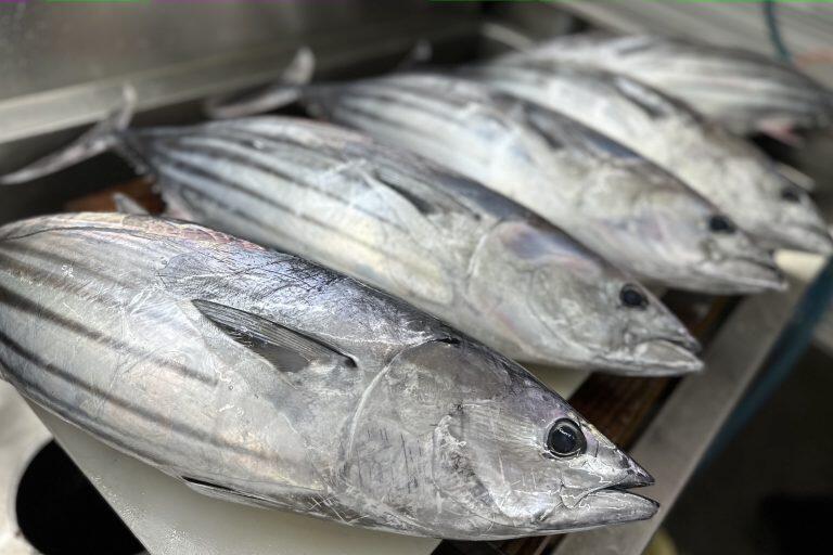 魚は1本売りや部位売りなど、お客さまのニーズに合わせて対応してくれる
