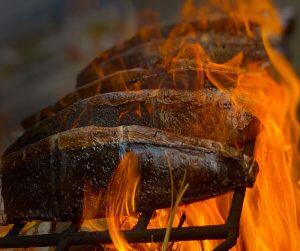 土佐沖どれのトロ鰹使用！老舗鮮魚店伝統のわら焼き鰹タタキ