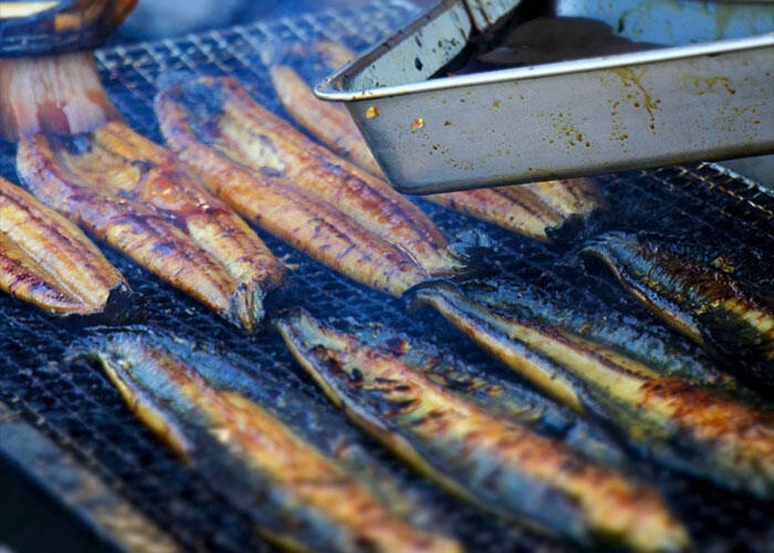 土佐備長炭で焼き上げた鰻の蒲焼