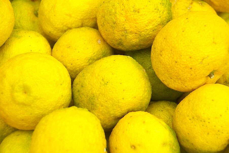 甘酸っぱい美味しさが大人気の「わんぱくゆずジュース」