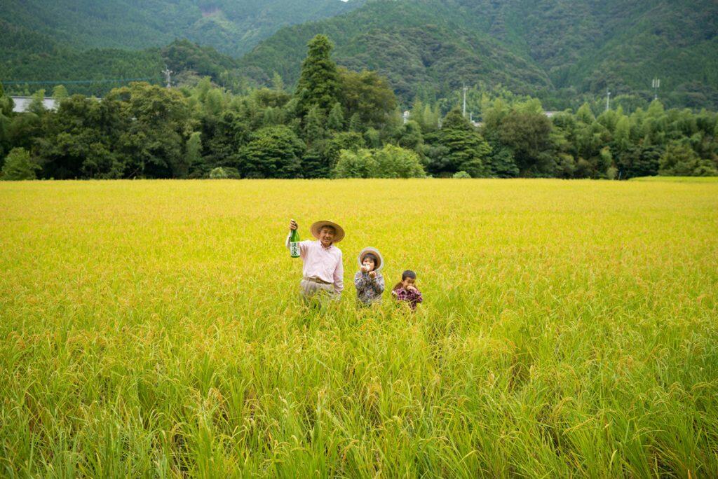 高知県随一の広さを誇る吉延の棚田
