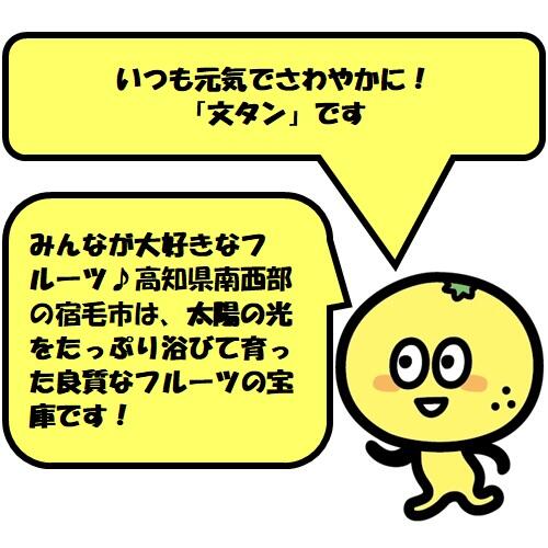 どれも食べたい!「宿毛青果」の選りすぐりフルーツ