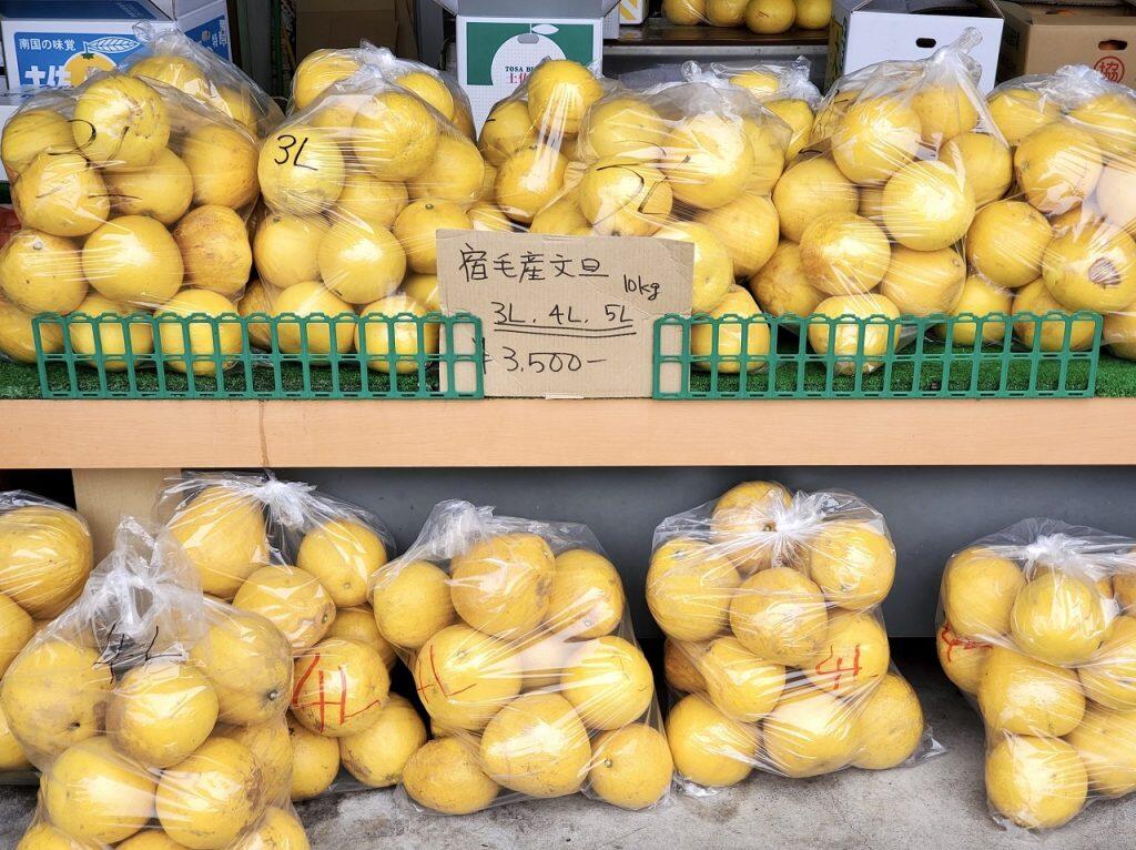 店内に並んだフルーツは、すぐにでもかぶりつきたくなるくらいどれもツヤツヤ♪