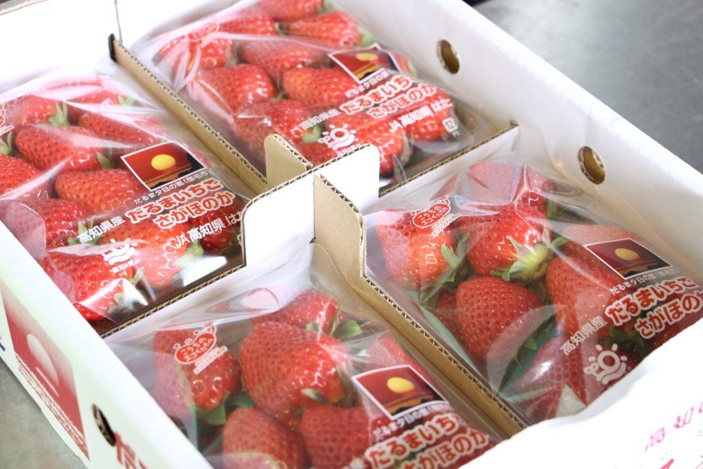 店内に並んだフルーツは、すぐにでもかぶりつきたくなるくらいどれもツヤツヤ♪