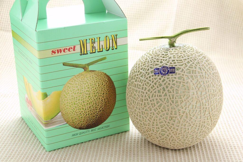 ずっしり重くて細かな網目がくっきり均等に広がったメロン