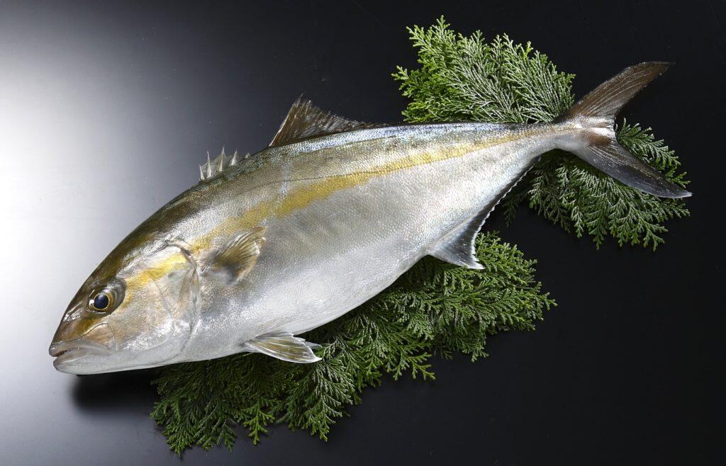 極美勘八(きわみかんぱち)