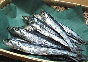 ほたれ(カタクチイワシ)の干物