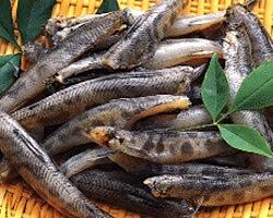 ウルメやメヒカリの丸干し