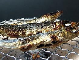 わら焼き鰹のたたき