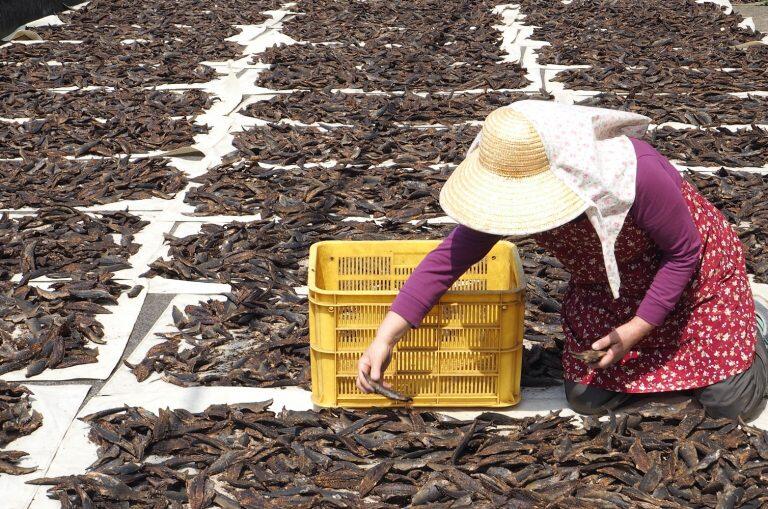 創業より112年もの長きに渡り受け継がれてきた伝統製法