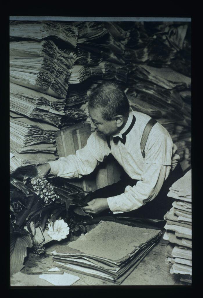 ©高知県立牧野植物園所蔵