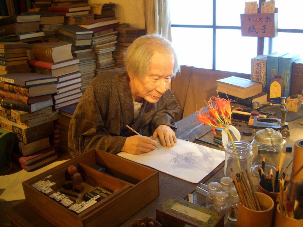 ©高知県立牧野植物園所蔵