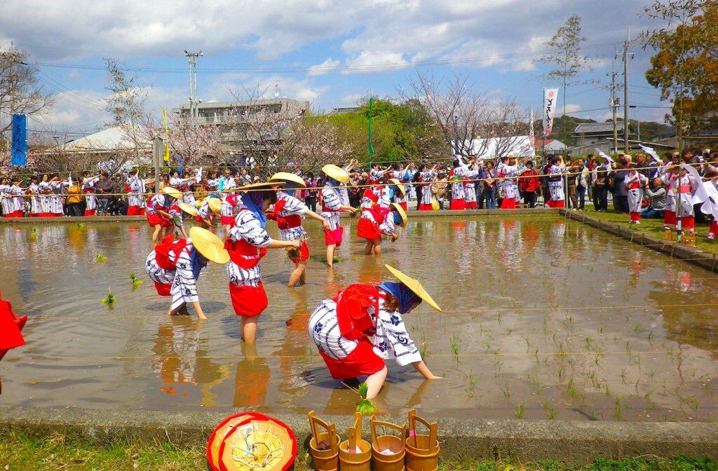 土佐自慢のユニークなお祭り