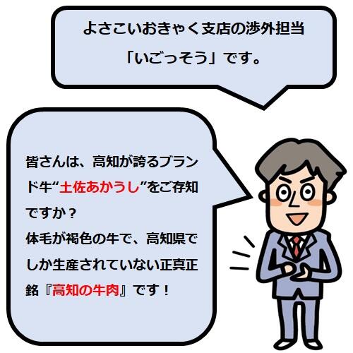 人気焼肉店よりお届け☆高知のブランド牛