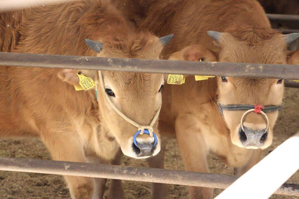 「食の安全が、日本の食文化を守る」の信念