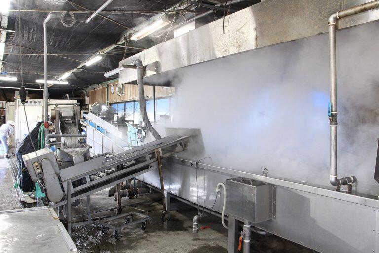 しらすの種類や大きさ、その日の天候によって塩加減や湯の温度を細かく調整し、安定した品質と変わらぬ美味しさを保っています