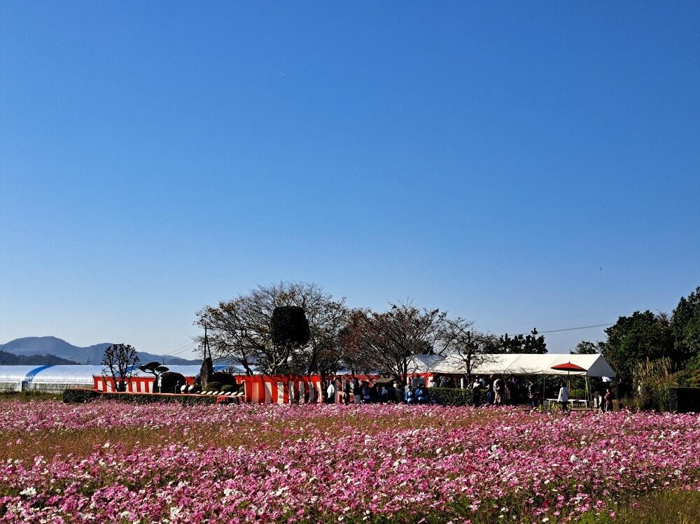 土佐日記/紀貫之/国分_3