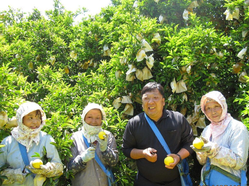土佐清水元気プロジェクト