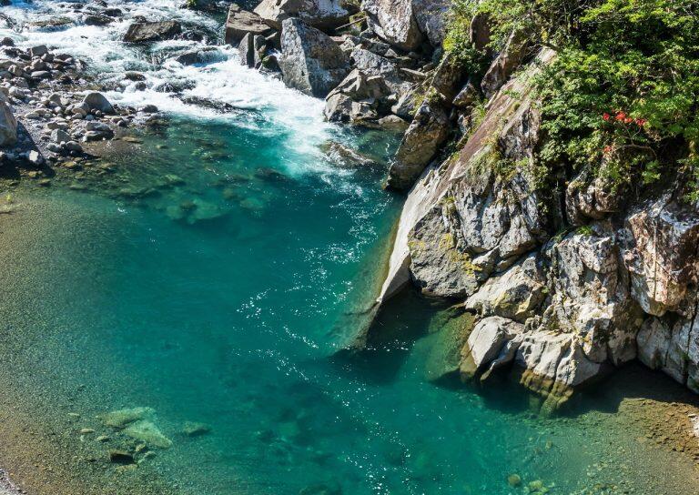 仕込み水には「清流めぐり利き鮎会」で2度のグランプリを受賞した安田川の清らかな伏流水を、酵母には醸造協会酵母だけでなく、土佐鶴淡麗酵母や吟醸熊本酵母などを使い、こだわりの酒質を追及