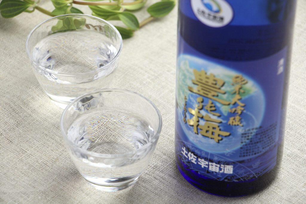 土佐人のロマンが詰まった