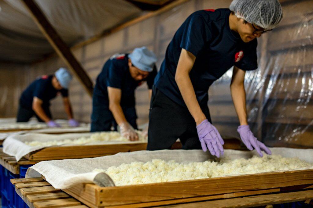 高知県酒造組合が高知県産酒造好適米の種と高知県産吟醸酵母を乗せたロケットの打ち上げ
