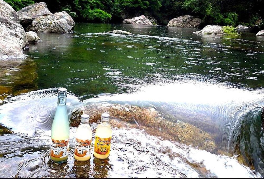 土佐山ジンジャエール/平成の名水百選に選ばれた清流・鏡川の水を使用/ジンジャーエール