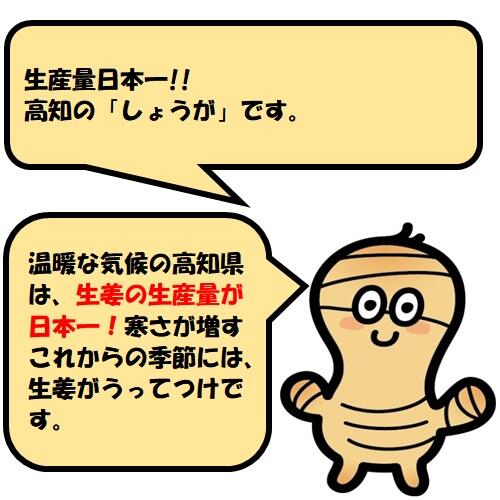 完全無農薬で育てる有機生姜使用の「土佐山ジンジャエール」を生み出した、「夢産地とさやま開発公社」がある高知市土佐山地区に行ってみました。