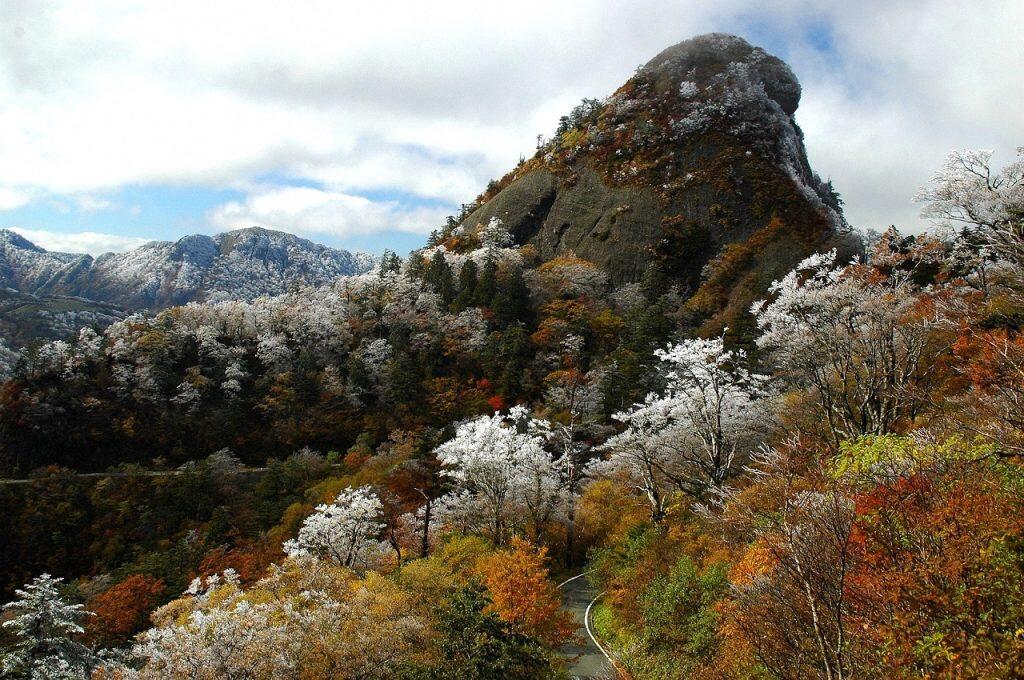 道路は全面舗装されているので、最近ではサイクリストにも人気