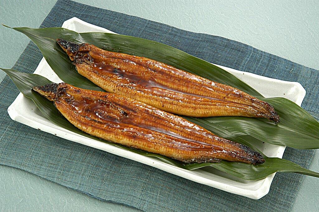 いただきます!高知の鰻でパワーチャージ!!