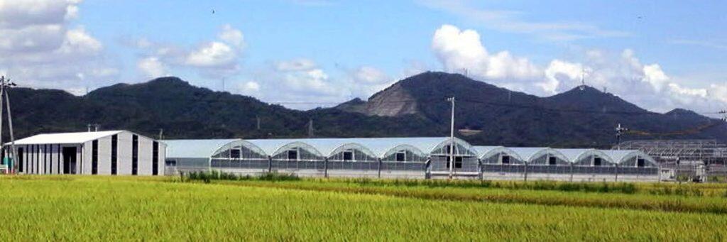 高知県香南市に製造工場を構え、鰻の養殖から蒲焼加工、活鰻流通に専門料理店の経営に至るまで、鰻のすべてを担う「フジ物産 高知支店」