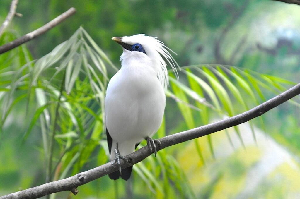 毎週日曜日と祝日の14:30からは、飼育スタッフによるワンポイントガイドを実施