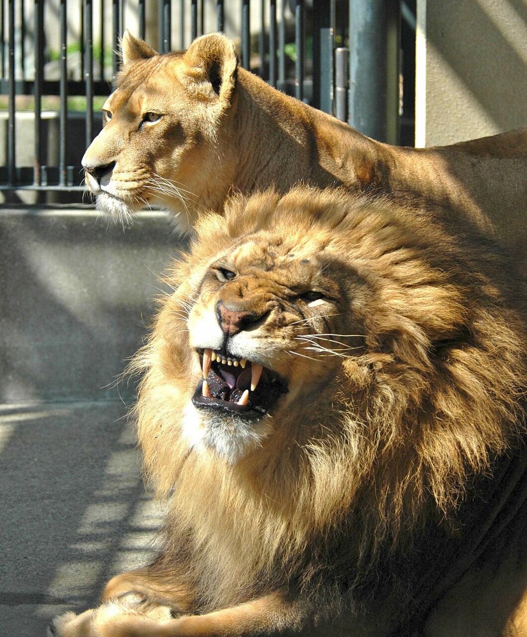 わんぱーくこうち