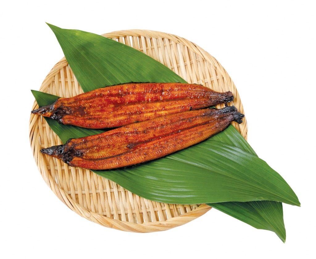 高知県産うなぎの蒲焼き