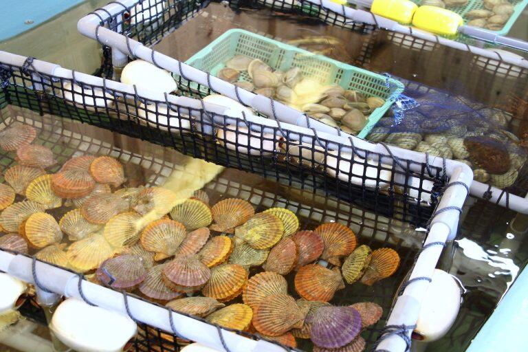 美味しい手作りの料理や加工品