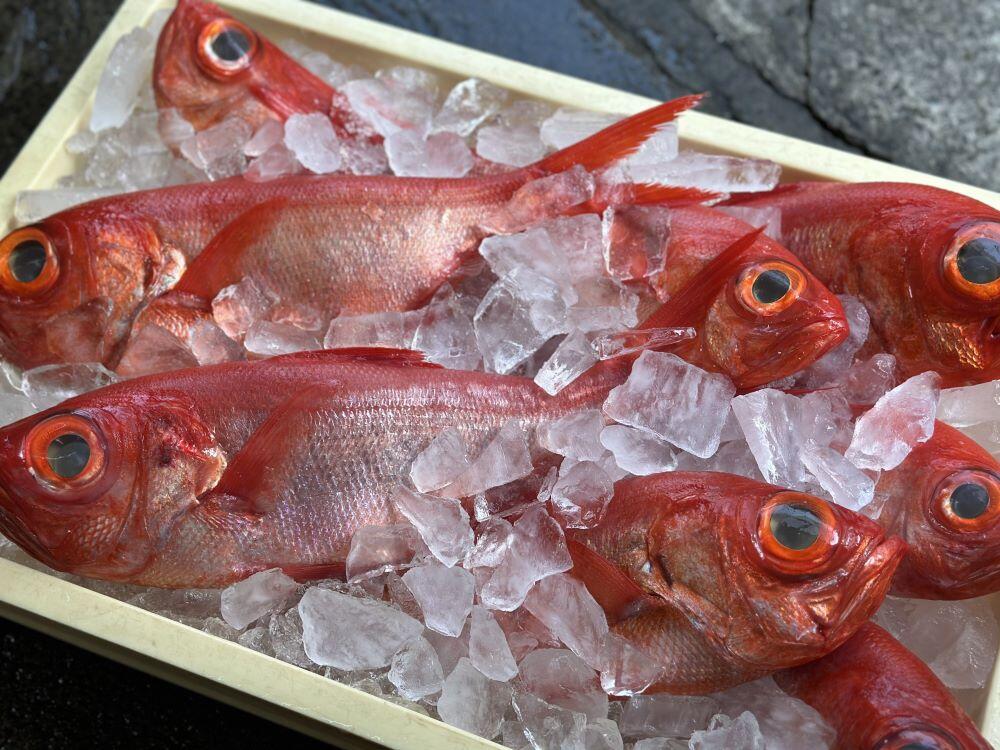 仕入れた新鮮な金目鯛の写真/ヤマシン西岡鮮魚店