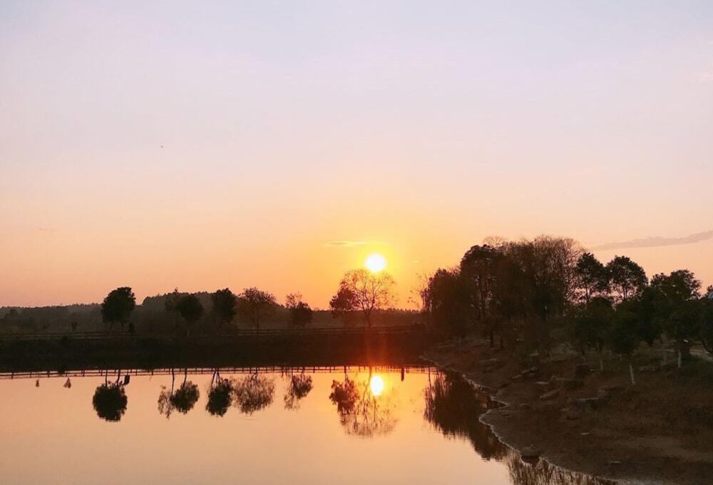 水面に反射する夕焼けの様子/田野町/ヤマシン西岡鮮魚店