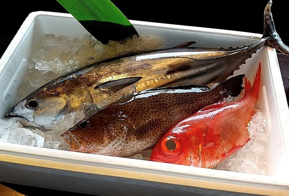 仕入れた新鮮な魚の写真/ヤマシン西岡鮮魚店